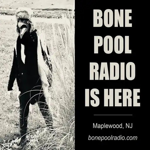 Play Bone Pool Radio APK
