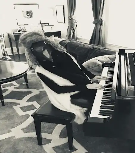 Play Bone Pool Radio  and enjoy Bone Pool Radio with UptoPlay