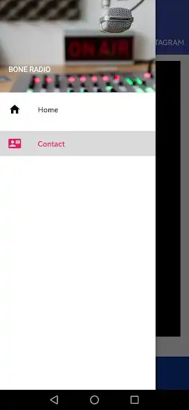 Play Bone Radio as an online game Bone Radio with UptoPlay