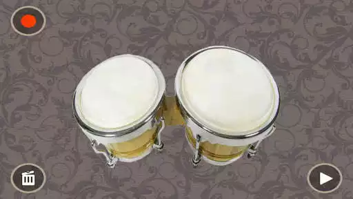 Play Bongo HD