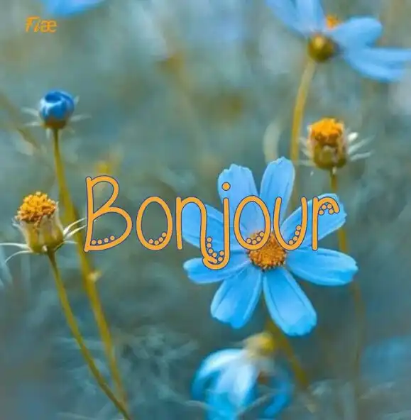 Play Bonjour Bonne Nuit GIFs 2023  and enjoy Bonjour Bonne Nuit GIFs 2023 with UptoPlay