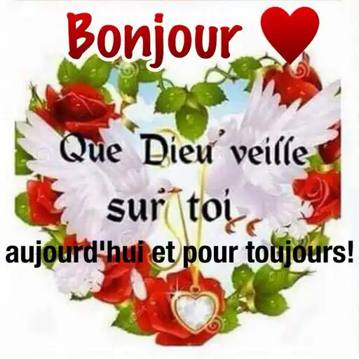 Play Bonjour Bonne Nuit Images APK