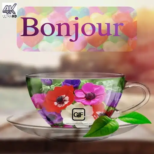 Play Bonjour Bonsoir Images GIF2023 APK