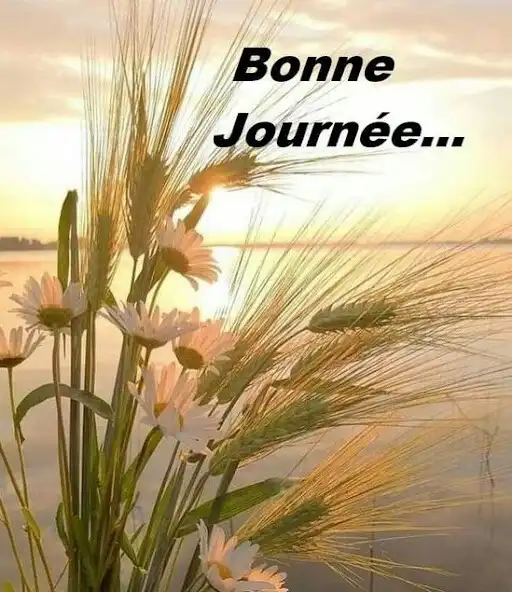 Play Bonjour et bonsoir salutations  and enjoy Bonjour et bonsoir salutations with UptoPlay