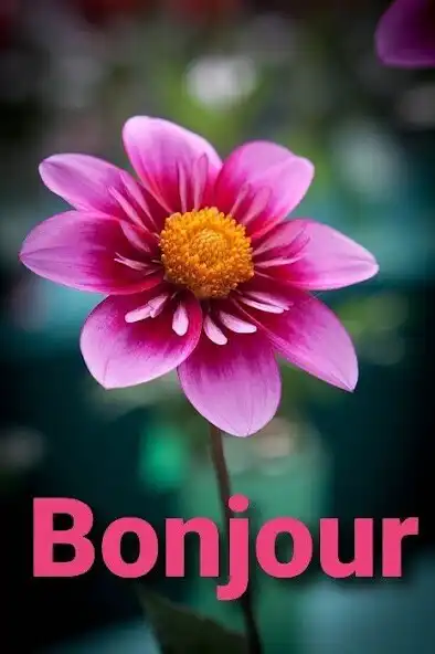 Play Bonjour et bonsoir salutations as an online game Bonjour et bonsoir salutations with UptoPlay