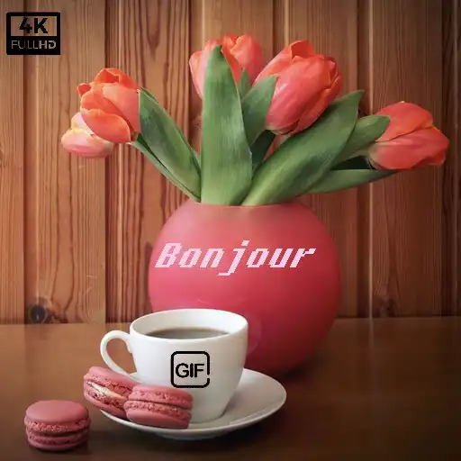 Play Bonjour Images GIF 2023 APK