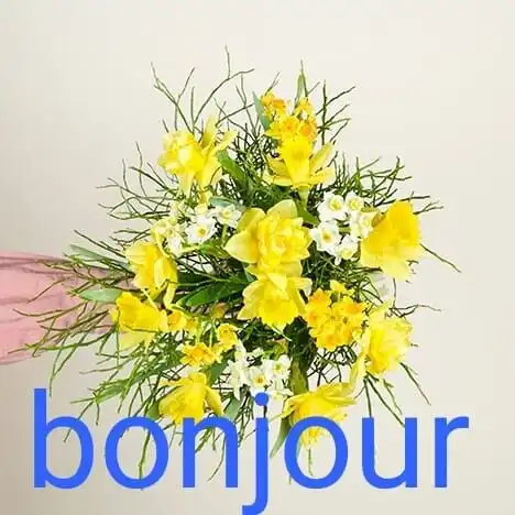 Play Bonjour Images GIF 2023  and enjoy Bonjour Images GIF 2023 with UptoPlay