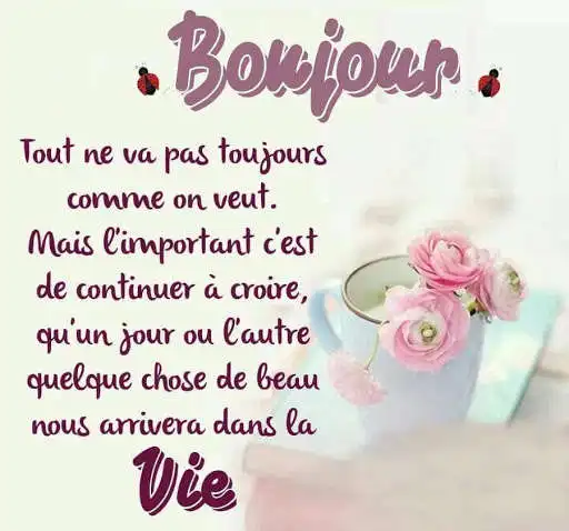 Play Bonjour