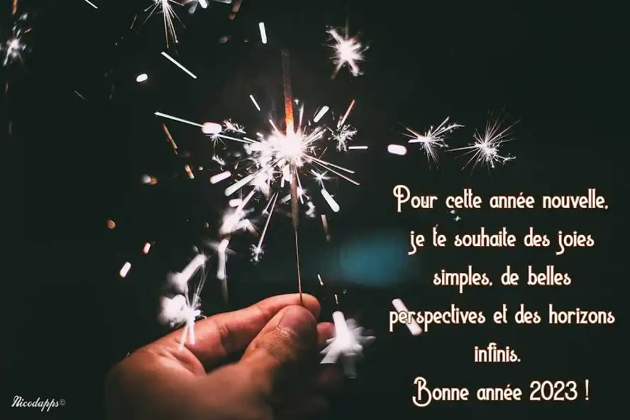 Play Bonne année 23 as an online game Bonne année 23 with UptoPlay