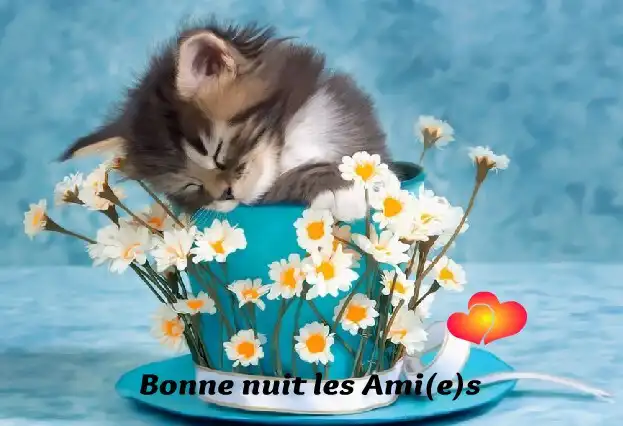 Play Bonne Nuit 2023 and enjoy Bonne Nuit 2023 with UptoPlay Play Bonne Nuit 2023 and enjoy Bonne Nuit 2023 with UptoPlay