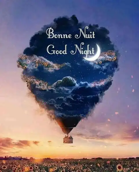 Play Bonne Nuit Images GIF  2023  and enjoy Bonne Nuit Images GIF  2023 with UptoPlay