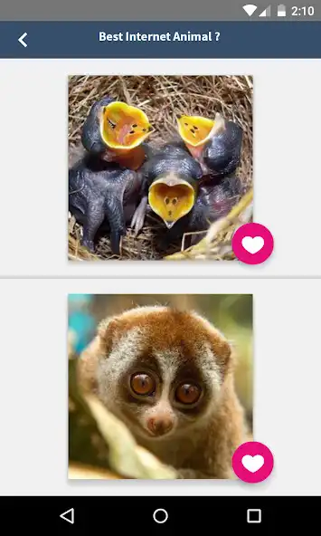 Play BonoBuzz  and enjoy BonoBuzz with UptoPlay