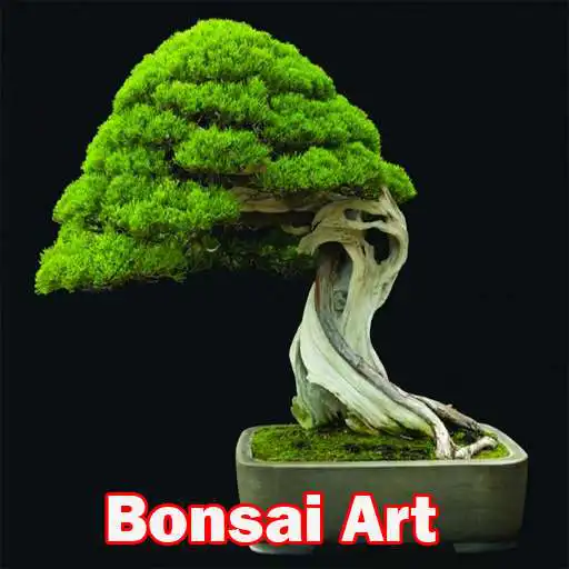 Play Bonsai Art APK Play Bonsai Art APK