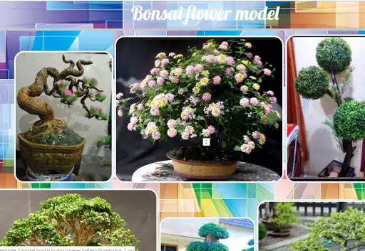 Play Bonsai flower model  and enjoy Bonsai flower model with UptoPlay
