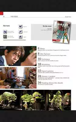 Play Bonsai Focus