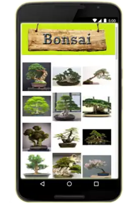 Play Bonsai