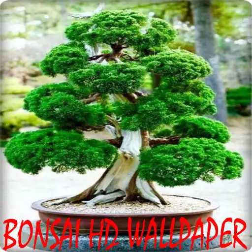 Play Bonsai Tree Wallpapers APK Play Bonsai Tree Wallpapers APK