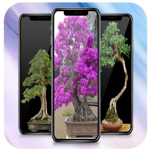 Play Bonsai Wallpaper HD APK Play Bonsai Wallpaper HD APK