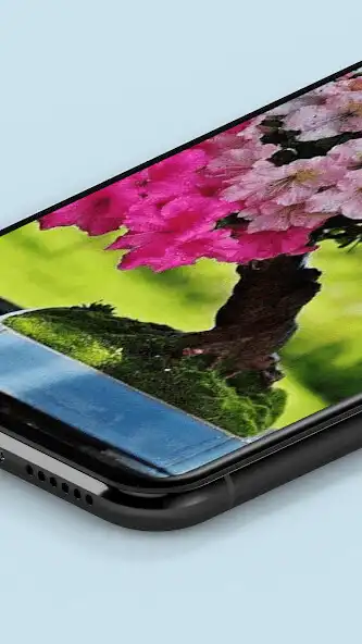 Play Bonsai Wallpaper HD  and enjoy Bonsai Wallpaper HD with UptoPlay