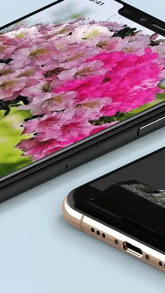Play Bonsai Wallpaper HD as an online game Bonsai Wallpaper HD with UptoPlay