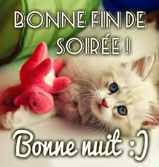 Play Bonsoir Bonne nuit Images  and enjoy Bonsoir Bonne nuit Images with UptoPlay