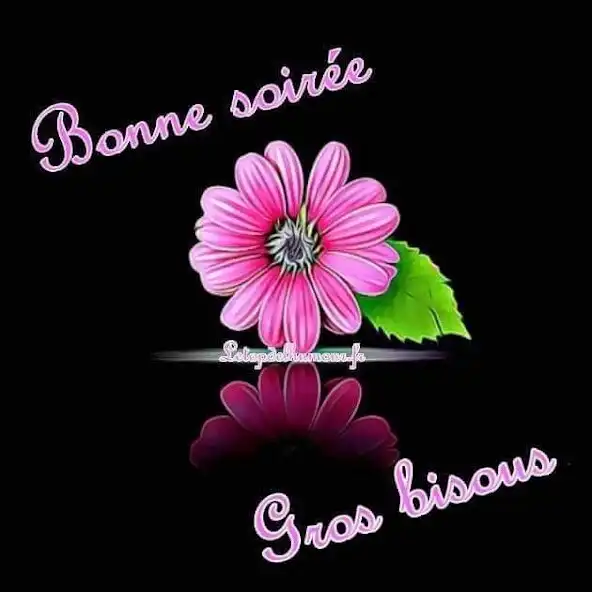 Play Bonsoir Images GIF 2023 and enjoy Bonsoir Images GIF 2023 with UptoPlay Play Bonsoir Images GIF 2023 and enjoy Bonsoir Images GIF 2023 with UptoPlay