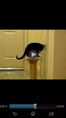 Play bookend PDF Viewer Play bookend PDF Viewer