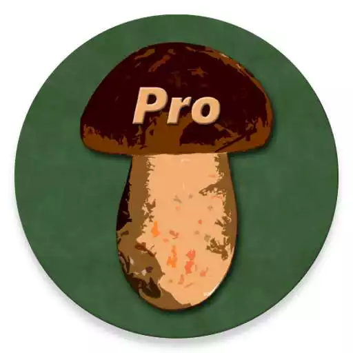 Free play online Book of Mushrooms PRO  APK