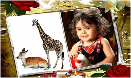 Play Book Photo Frames as an online game Book Photo Frames with UptoPlay
