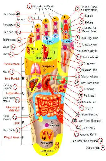 Play Books Reflexology as an online game Books Reflexology with UptoPlay