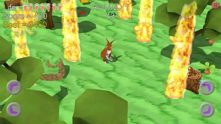 Play Boom Boom Rabbit