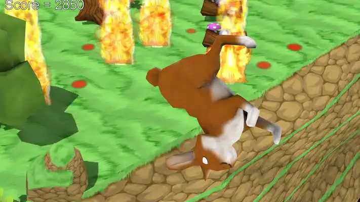 Play Boom Boom Rabbit