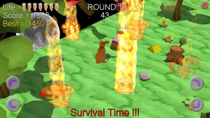 Play Boom Boom Rabbit