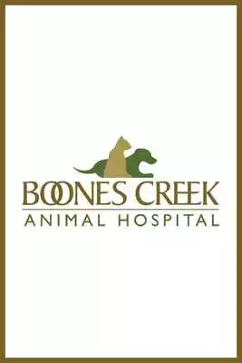 Play BoonesCreek AH Play BoonesCreek AH