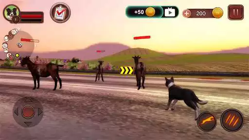 Play Border Collie Simulator as an online game Border Collie Simulator with UptoPlay