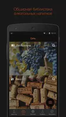Play BORK Wine