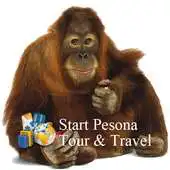 Free play online Borneo Tanjung Puting APK