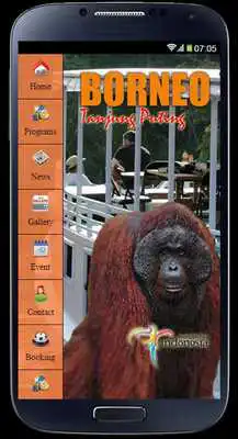 Play Borneo Tanjung Puting Play Borneo Tanjung Puting