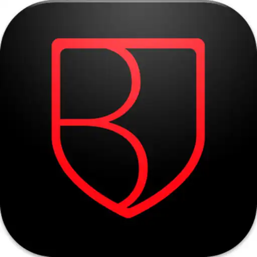Play Boroni APK