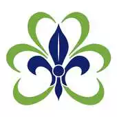 Free play online Bororos APK