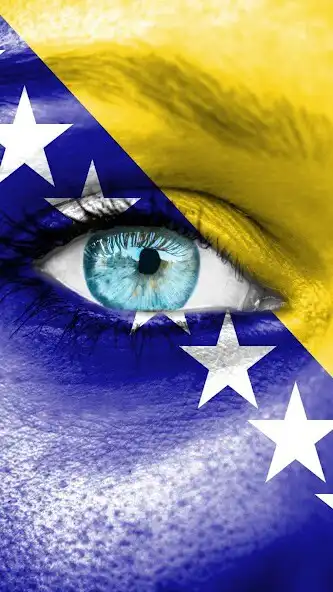 Play Bosnia And Herzegovina flag  and enjoy Bosnia And Herzegovina flag with UptoPlay