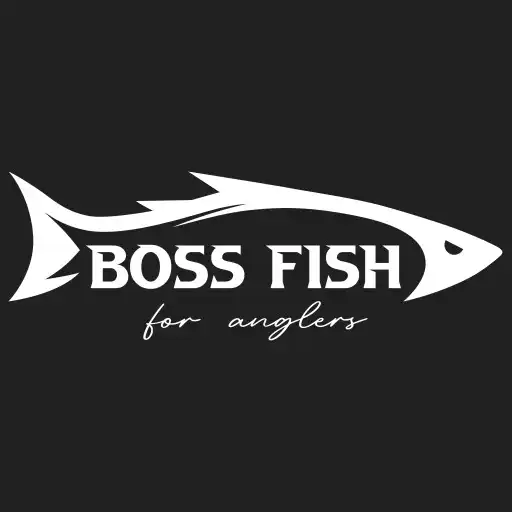 Play Boss Fish APK