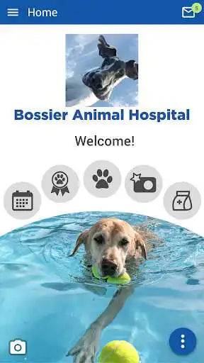 Play Bossier Animal Hospital  and enjoy Bossier Animal Hospital with UptoPlay