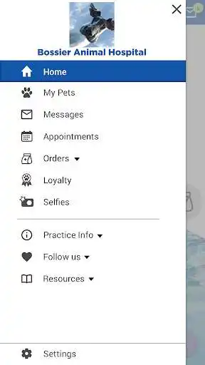 Play Bossier Animal Hospital as an online game Bossier Animal Hospital with UptoPlay