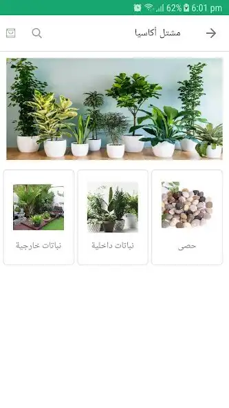 Play Bostane express as an online game online Bostane express with UptoPlay Play Bostane express as an online game Bostane express with UptoPlay