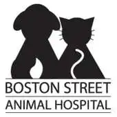 Free play online Boston Street Vet APK