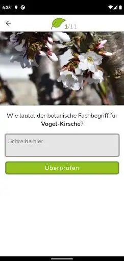 Play Botanica as an online game Botanica with UptoPlay