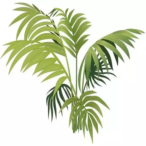 Play Botany MCQs APK