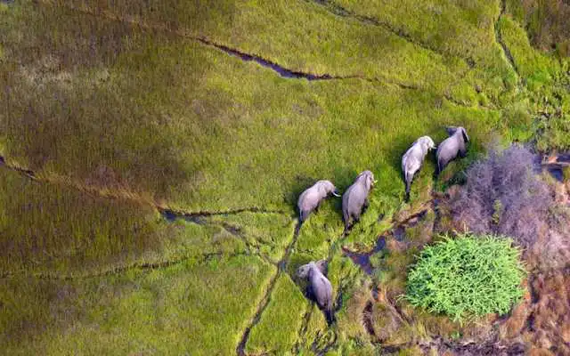 Play Botswana Hotels