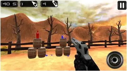 Play Bottle Shooter Expert 3D